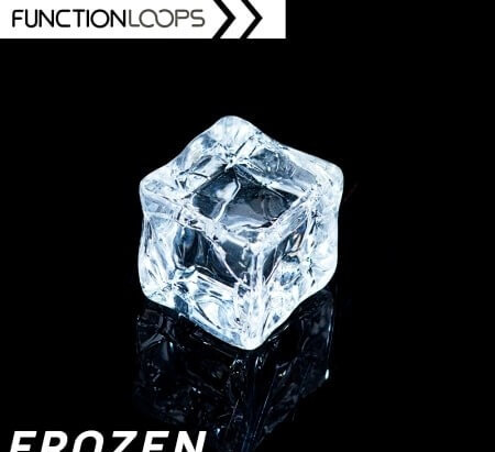 Function Loops Frozen Trap and Hip Hop WAV